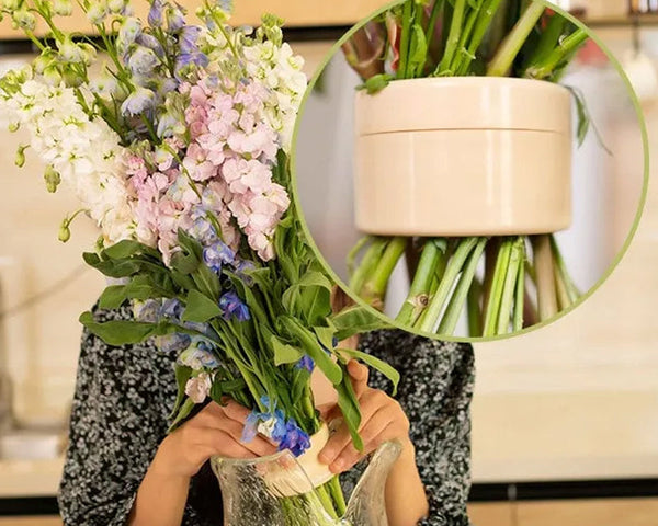 1+1 GRATIS | FloraOrganizer - Bringen Sie Ordnung in Ihren Blumenstrauß! [Letzter Tag Rabatt]