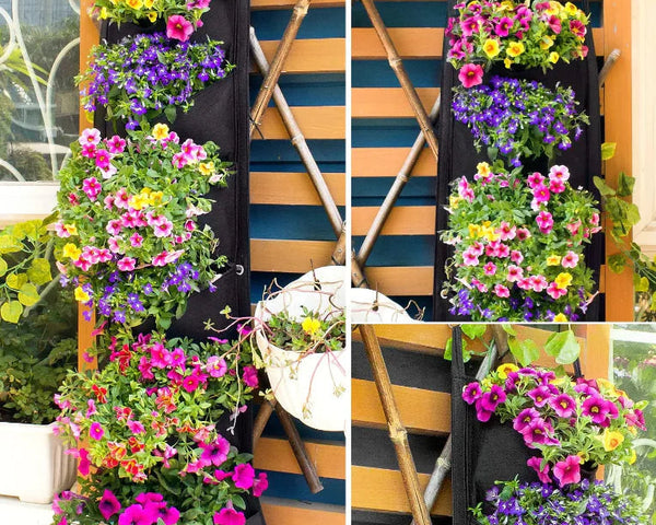 WallNest - Vertikal hängende Gartenpflanze