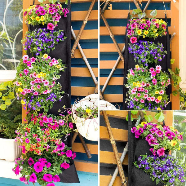 WallNest - Vertikal hängende Gartenpflanze