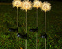TwinklePuff - Wasserdichte Solar-Gartenleuchte im Pusteblumen-Design
