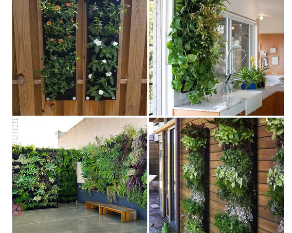 WallNest - Vertikal hängende Gartenpflanze