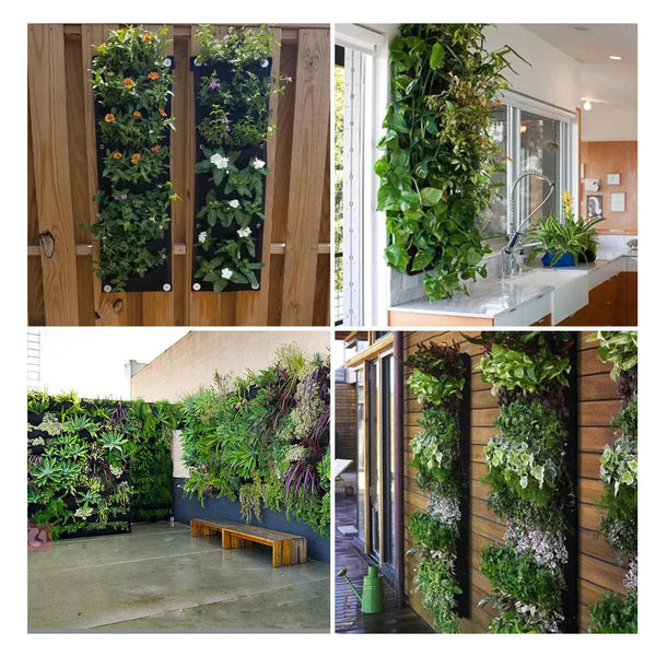 WallNest - Vertikal hängende Gartenpflanze