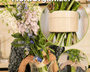 1+1 GRATIS | FloraOrganizer - Bringen Sie Ordnung in Ihren Blumenstrauß! [Letzter Tag Rabatt]