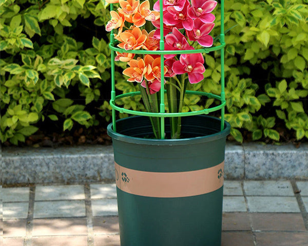 VineGuard - Abnehmbare Pflanzenstütze für Blumen und Früchte